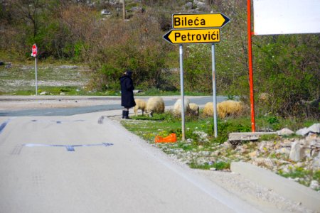 01 Route vers Mostar (29)