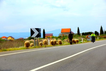04 Route vers Podgorica (7)