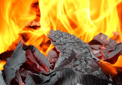 An outbreak of hot burned