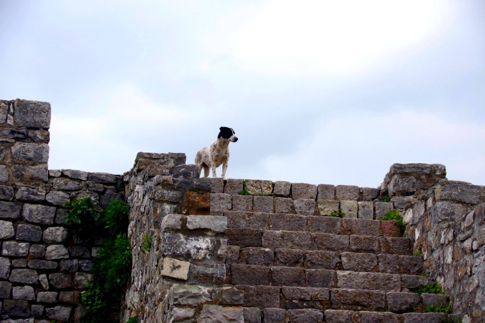 03 Rosafa castle (9)