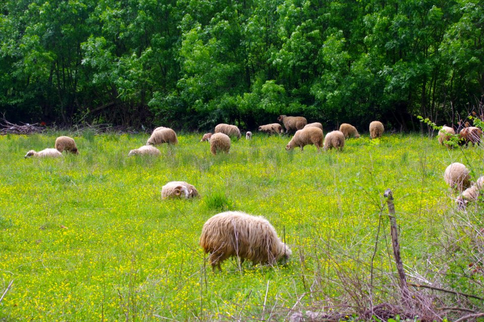 01 Route vers l'Albanie (13)