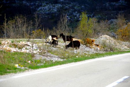 01 Route vers Mostar (16)