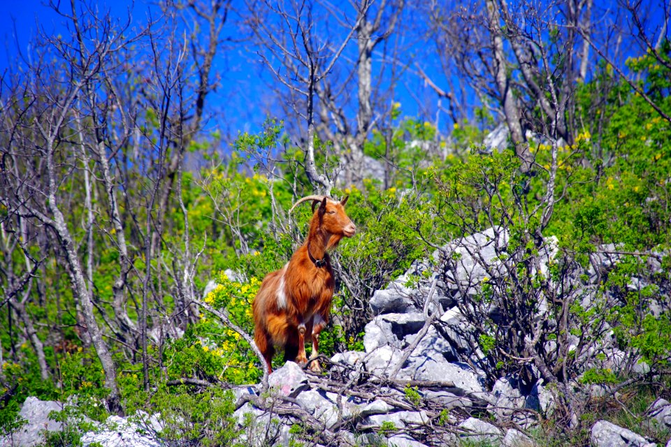 01 Route vers Mostar (12)