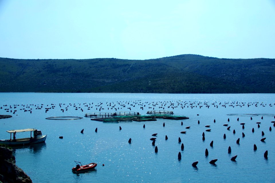 03 Route vers Split (6)