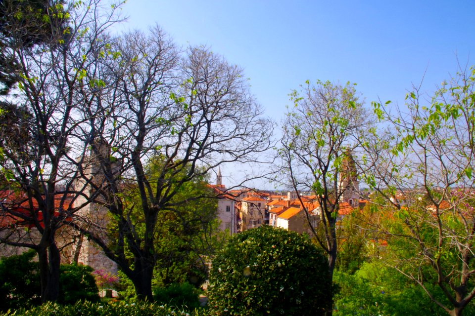 03 Zadar (28)