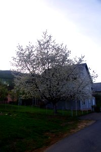 03 Parc des lacs de Plivitce (45)