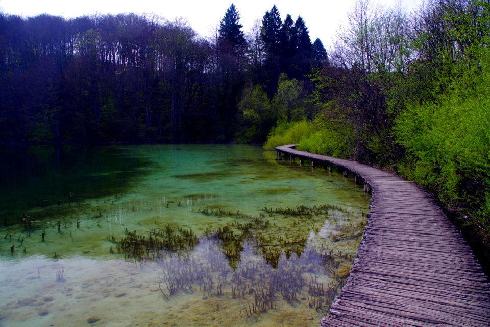 03 Parc des lacs de Plivitce (39)
