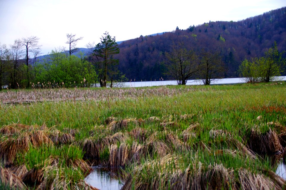 03 Parc des lacs de Plivitce (38)