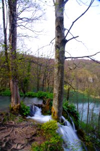 03 Parc des lacs de Plivitce (37)