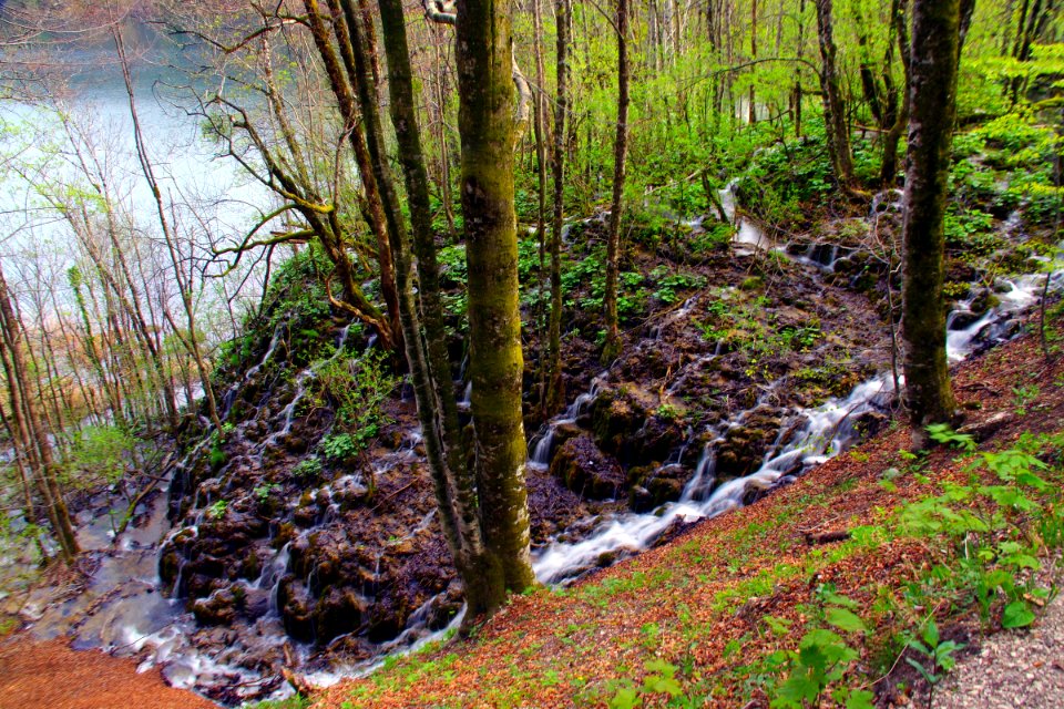 03 Parc des lacs de Plivitce (35)