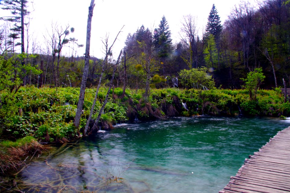 03 Parc des lacs de Plivitce (27)