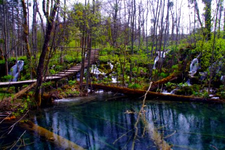 03 Parc des lacs de Plivitce (26)