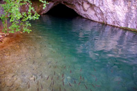 03 Parc des lacs de Plivitce (21)