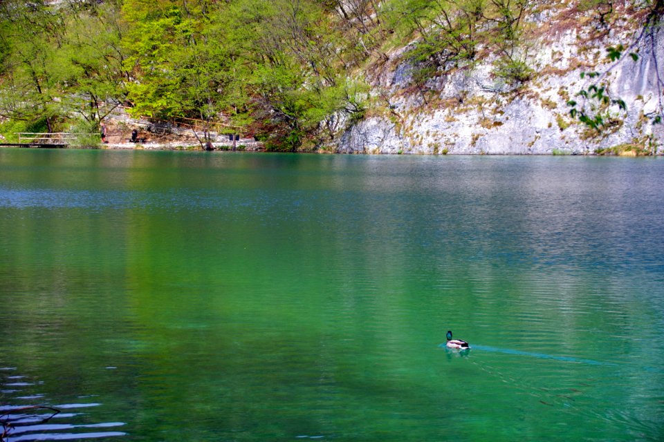03 Parc des lacs de Plivitce (18)