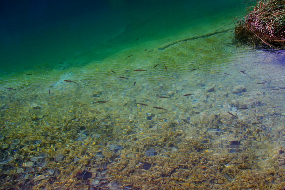 03 Parc des lacs de Plivitce (9)