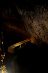 01 Grotte de Postojna (36)