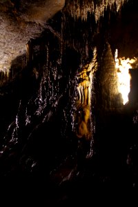 01 Grotte de Postojna (34)