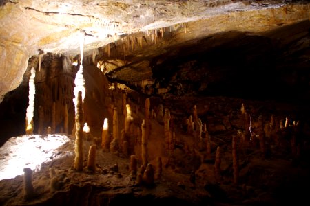 01 Grotte de Postojna (33)