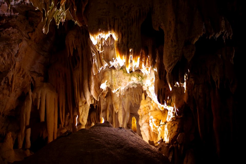 01 Grotte de Postojna (32)