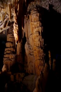 01 Grotte de Postojna (31)