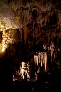 01 Grotte de Postojna (27)