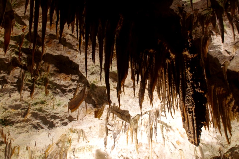 01 Grotte de Postojna (26)