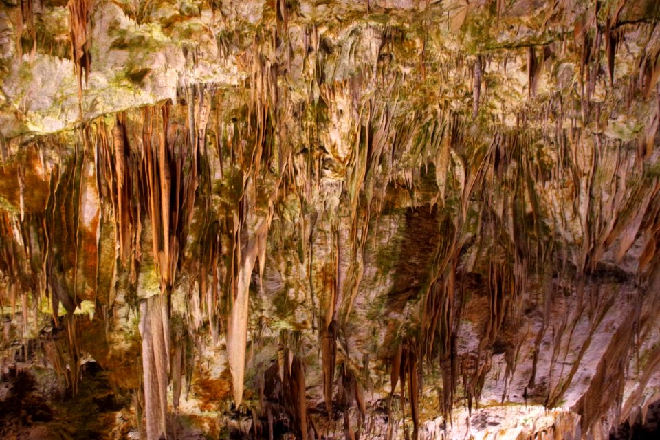 01 Grotte de Postojna (23)