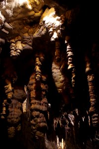 01 Grotte de Postojna (22)