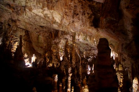 01 Grotte de Postojna (21)