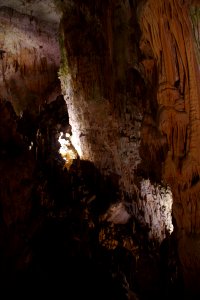 01 Grotte de Postojna (14)