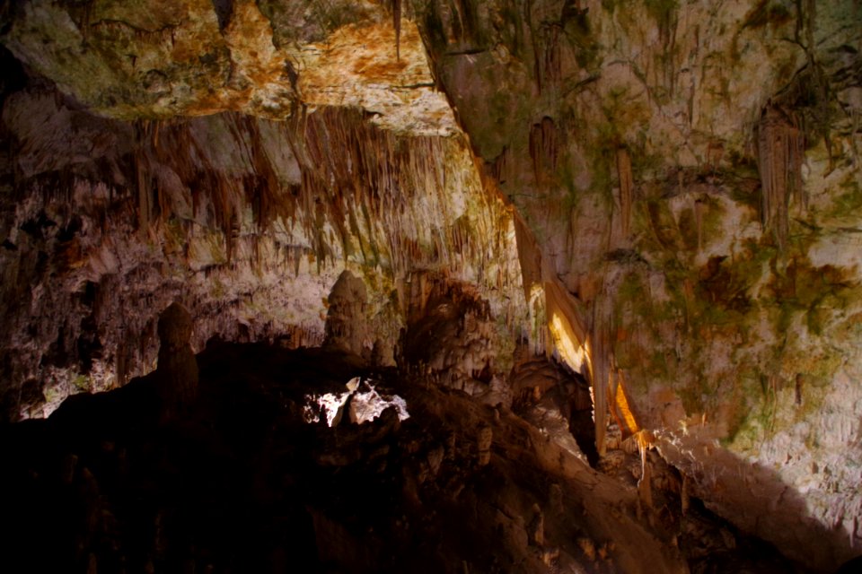01 Grotte de Postojna (13)
