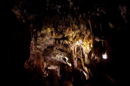 01 Grotte de Postojna (10)