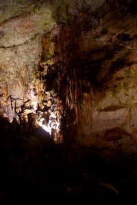 01 Grotte de Postojna (12)