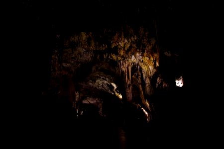 01 Grotte de Postojna (11)