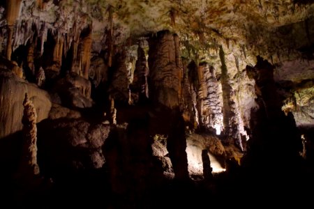 01 Grotte de Postojna (8)