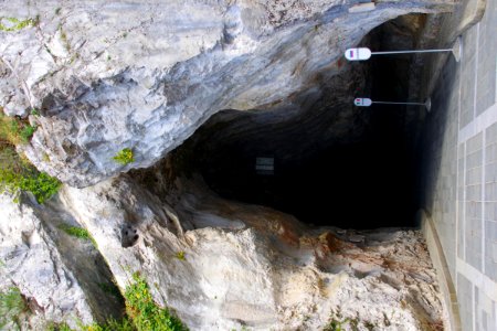 01 Grotte de Postojna (5)