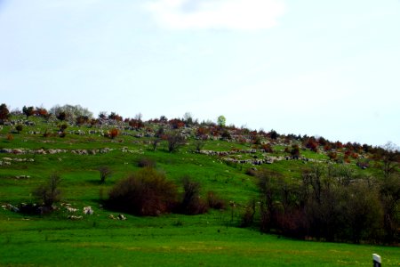 02 Route côte dalmate-Plivitce (16)