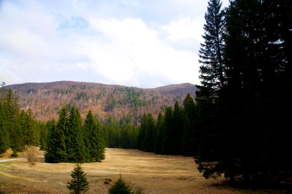 03 Snežnik (6)
