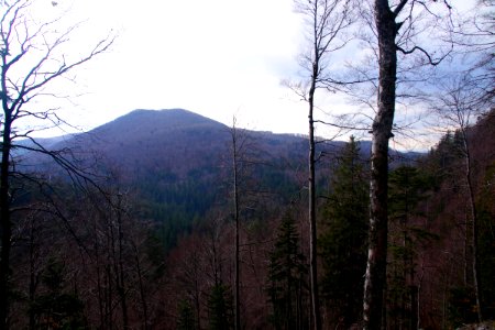 03 Snežnik (1)