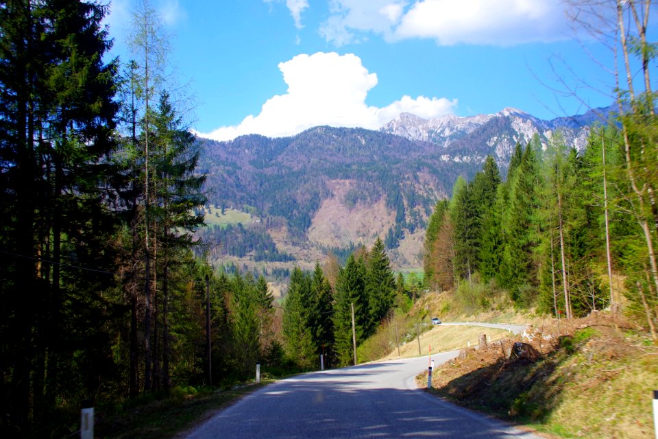05 Mežakla (13)