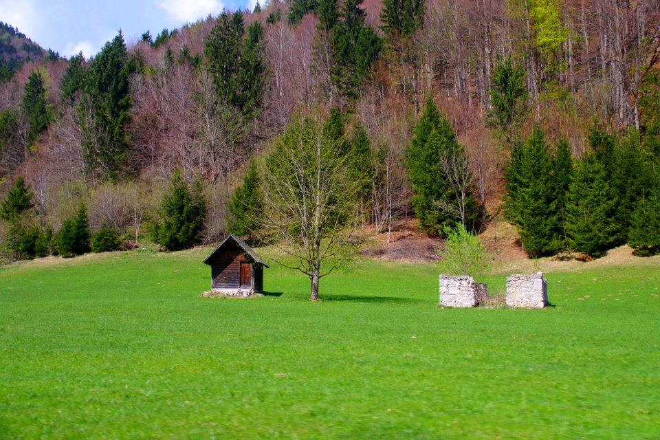 05 Mežakla (4)