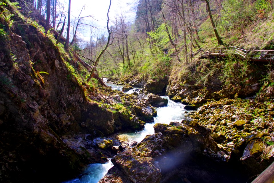 04 Gorges de Vintgar (10)