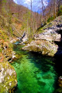 04 Gorges de Vintgar (8)