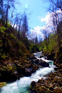04 Gorges de Vintgar (7)