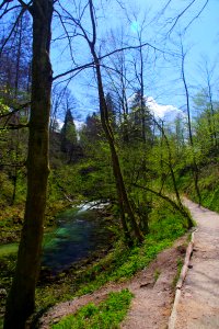04 Gorges de Vintgar (6)