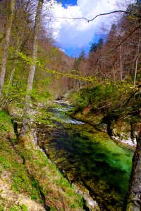 04 Gorges de Vintgar (5)