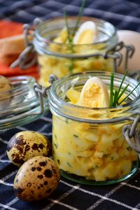 Food homemade starter