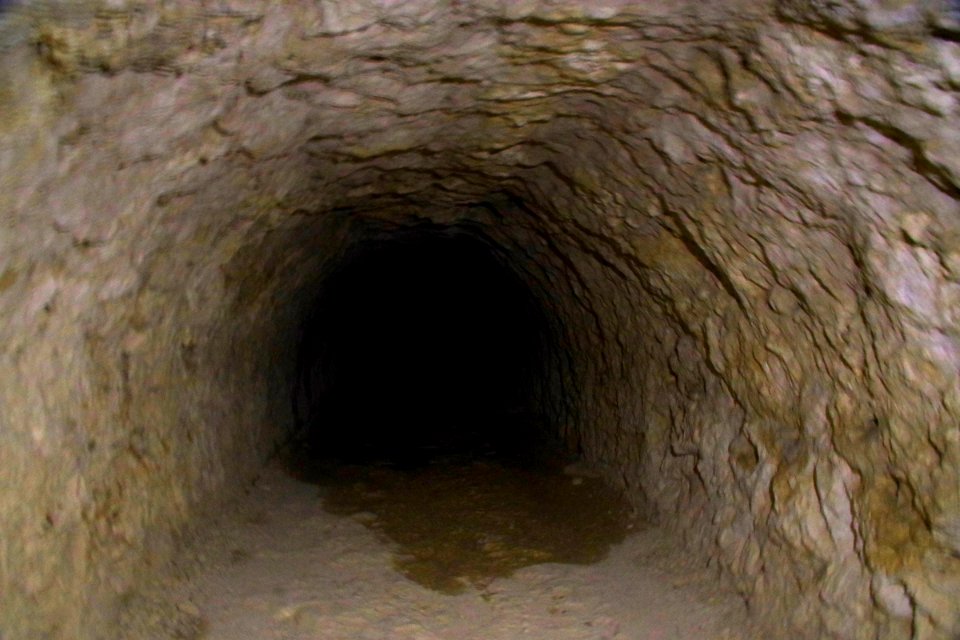 IMGP2178