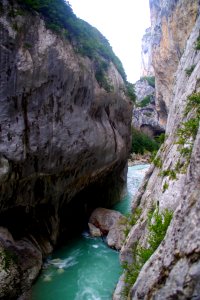 IMGP2174