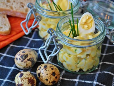 Food homemade starter